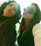 claudietta *
